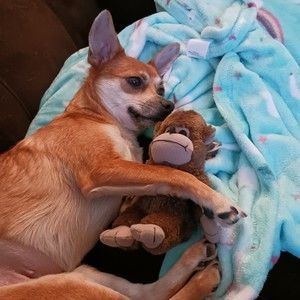 Meet your Posher, William